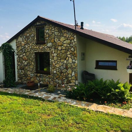 Czytelnia W Sadzie Villa Krzykawka Luaran gambar