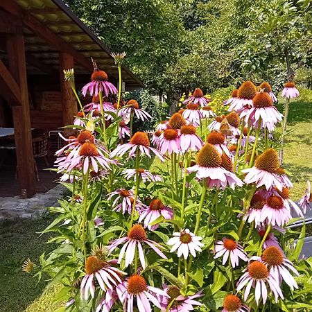 Czytelnia W Sadzie Villa Krzykawka Luaran gambar