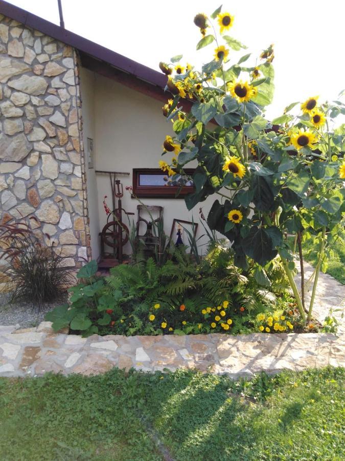 Czytelnia W Sadzie Villa Krzykawka Luaran gambar