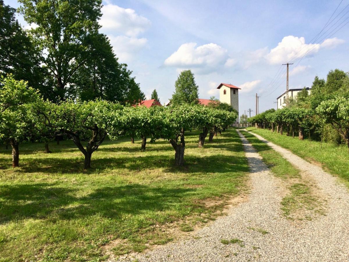 Czytelnia W Sadzie Villa Krzykawka Luaran gambar