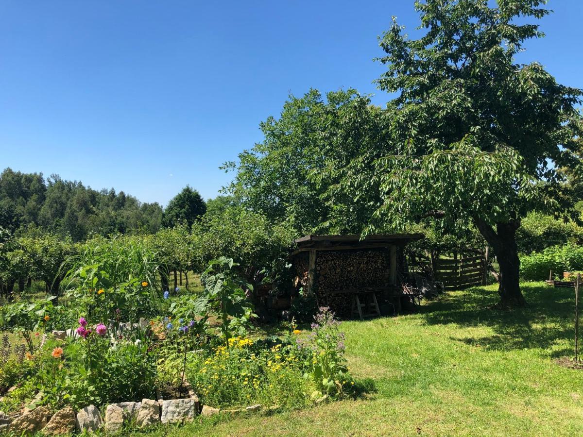 Czytelnia W Sadzie Villa Krzykawka Luaran gambar