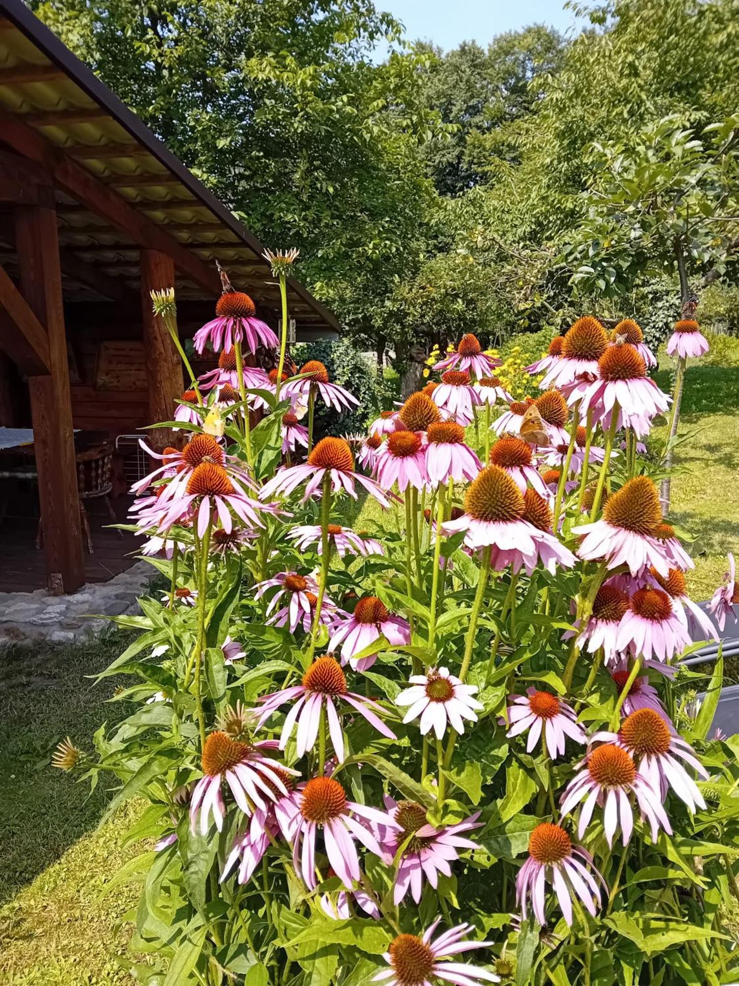 Czytelnia W Sadzie Villa Krzykawka Luaran gambar